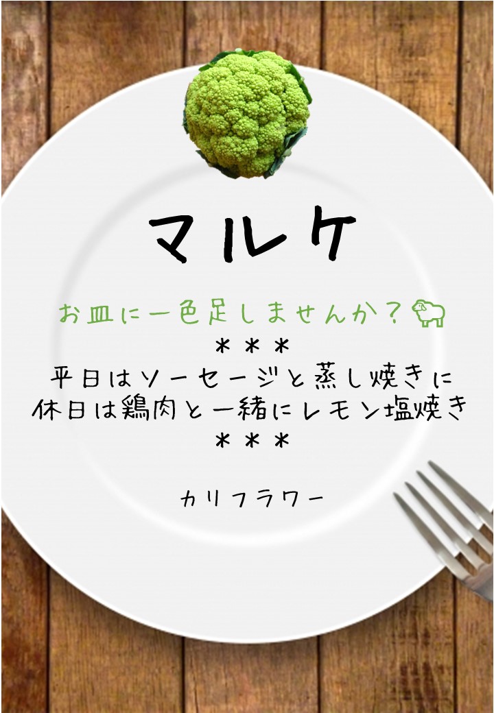 食卓風マルケ写真入りPOP